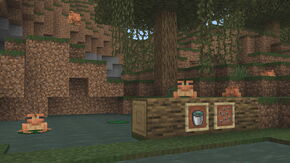 Версия beta 1.18.10.24.jpg